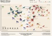 [Infographic] An insight into the World's most overrated and underrated dog breeds!