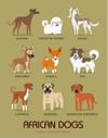 How well do you know your dog breeds?!