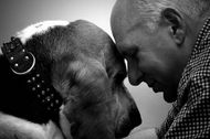 The science behind human - canine bond