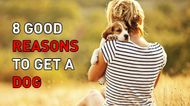 8 Good Reasons To Get A Dog
