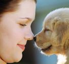 Why Dogs Rub Their Nose Against You