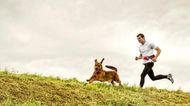 5 Major drawbacks if your dog is not getting exercise