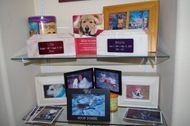 5 unique ways to commemorate your dog that has passed away