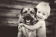 A touching letter from a dog to human baby