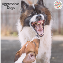 Raw diet leads to aggression - Myth or Fact - Read for insights