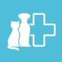VCARE DOG CLINIC AND PETSHOP
