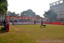 2013 Agra Dog Show | show ground,sw-78,