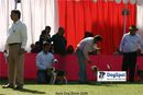 Agra Dog Show 2008-09 | beagle,