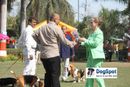 Agra Dog Show 2010 | Beagle,