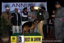 Amritsar Dog Show 2012 | german shepherd,line up,sw-65,