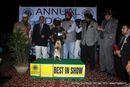 Amritsar Dog Show 2012 | line up,pug,sw-65,