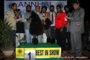 Amritsar Dog Show 2012 | line up,poodle,sw-65,