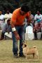 Amritsar Kennel Club | ex-13,pug,sw-135,