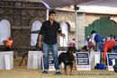 Bangalore Canine  Club 2011 | rottwieler,sw-49,