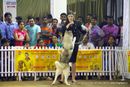 Bangalore Canine Club 2014 | sw-138,