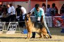 Bangalore Dog Show 2012 | ex-450,german shepherd,sw-69,