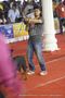 Bangalore Dog Show | ex-293,rottweiler,sw-102,