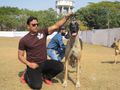 Bhubaneswar dog show | bhubaneswar dog show