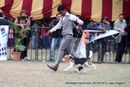 Chandigarh Dog Show 2013 | beagle,sw-75,