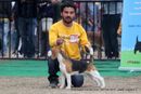 Chandigarh Dog Show 2013 | beagle,ex-76,sw-75,