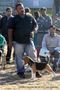 Dehradun Dog Show 2012 | beagle,ex-52,sw-73,