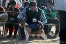 Dehradun Dog Show 2012 | beagle,ex-53,sw-73,