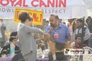 Dehradun Dog Show | Beagle,Hounds,