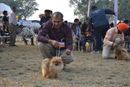 Dehradun Dog Show | pomeranian,sw-47,