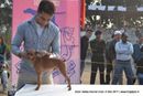 Dehradun Dog Show | ex-4,minpin,sw-47,