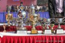 Delhi Dog Show 2013 | show trophy,sw-79,