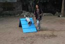 Dog Agility -Pune by Its Pawssible | dog agility -pune by its pawssible