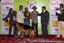 Gurgaon Dog Show 2012 | line up,sw-77,