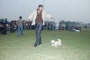 Gurgaon Dog Show Day1 | Apso,