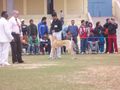 THE JALANDHAR DOG SHOW | the jalandhar dog show