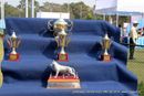 Jamshedpur Obedience Dog Show 2014 | show trophy,