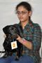 JCI Raipur Capital Dog Show & Modeling Show | jci raipur capital dog show  modeling show