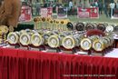 Kanpur Dog Show 2012 | show trophy,sw-72,