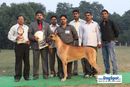 Kanpur Dog Show | ex-188,lineup,sw-7,