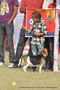 Lucknow Dog Show 2011 | dog handling by child,sw-43,