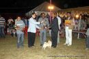 Lucknow Dog Show 2012 | line up,sw-71,ex-18