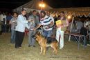 Lucknow Dog Show 2012 | line up,sw-71,ex-243