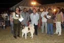 Lucknow Dog Show 2012 | line up,sw-71,ex-119