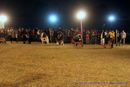 Lucknow Dog Show 2012 | line up,sw-71,