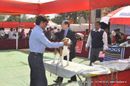 Nagpur Dog Show | beagle,