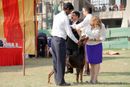 Noida Dog Show 2013 | judging,people,sw-99,