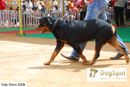 OOty Dog Show 2009 | rottweiler,
