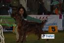 Ooty Dog Show 2010 | sw-18, lady handlers,ms nagina,
