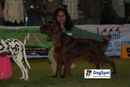 Ooty Dog Show 2010 | sw-18, lady handlers,
