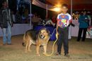 Orissa Dog Show 2013 | child handler,sw-104,