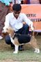 Orissa Dog Show | beagle,ex-47,sw-68,